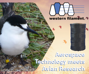 Lacing Tape case study for bird conservation